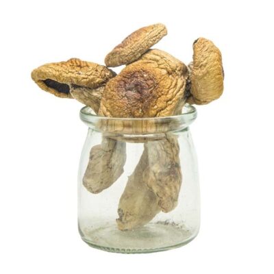 A-Magic-Mushrooms-Premium.jpg A+ Magic Mushrooms