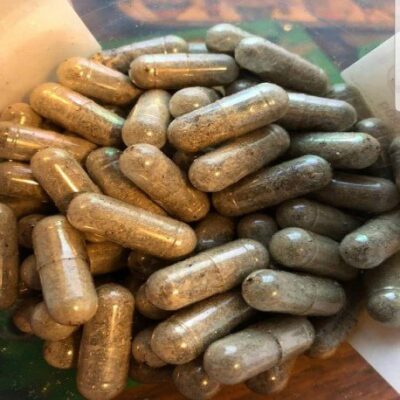 Golden-Teacher-Capsules.jpg Golden Teacher Capsules