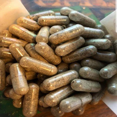 Golden Teacher Capsules