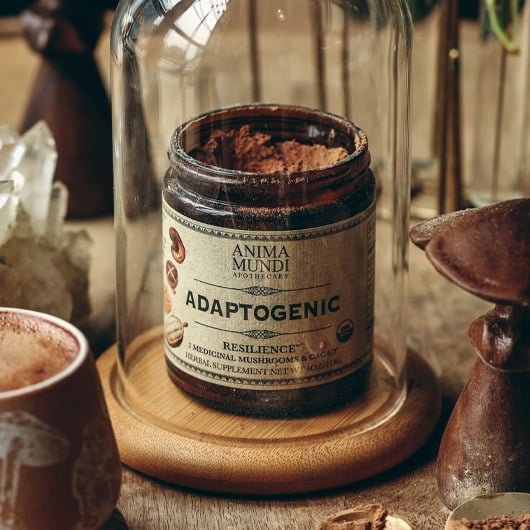 adaptogenic.jpg Adaptogenic mushrooms