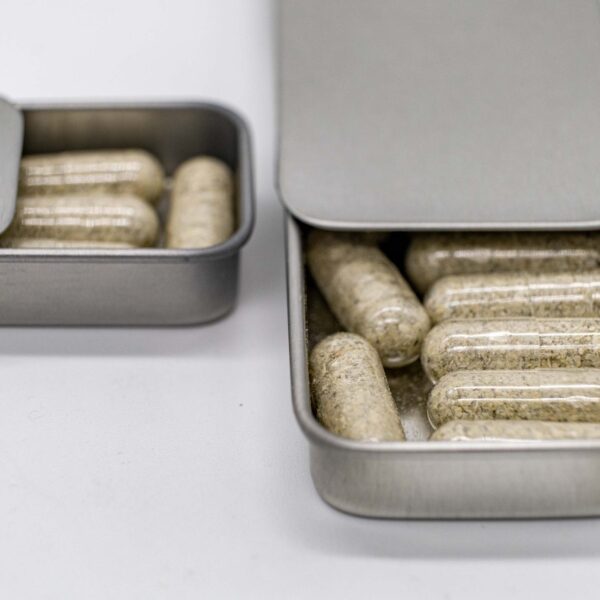 Cambodian Cubensis Capsules