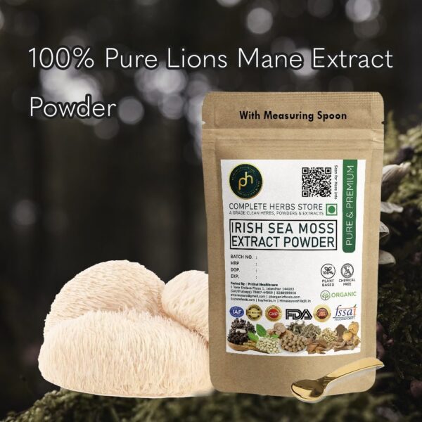 Lion's Mane Powder