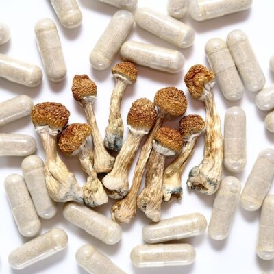 psychedelic-shrooms.jpg Cambodian Cubensis Capsules