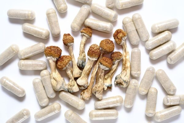 Cambodian Cubensis Capsules