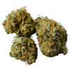 Gorilla Glue #4 (GG4)