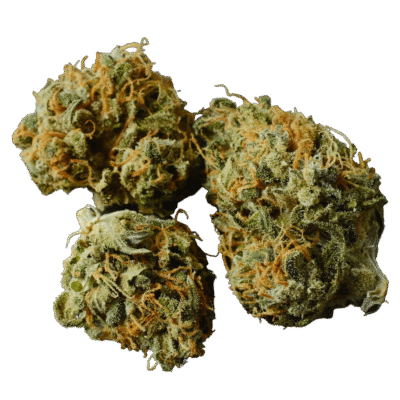 Gorilla Glue #4 (GG4)
